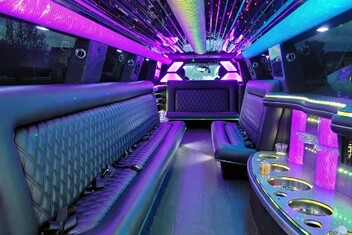 Elk Grove Limo Interior